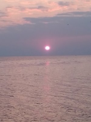 IMG_20200404_063134.jpg