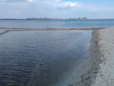 IMG_20200401_143745.jpg