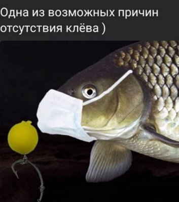 IMG-d4c48d1855fe34de8c4a398594088a90-V.jpg