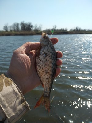 IMG_20200413_135258.jpg