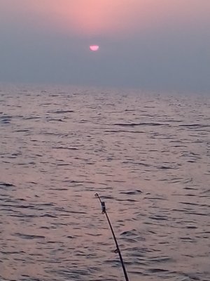 IMG_20200418_061228.jpg