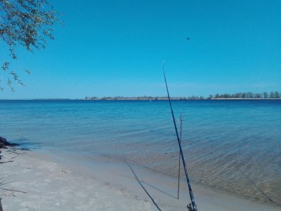 IMG_20200429_105847.jpg