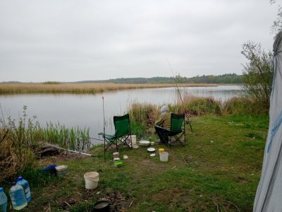 IMG_20200501_125436.jpg