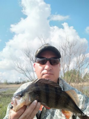 IMG_20200504_095809.jpg