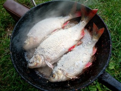 IMG_20200505_194235.jpg