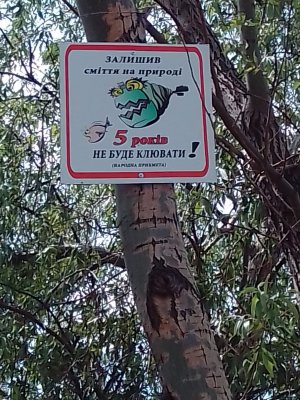 IMG_20200510_115355.jpg