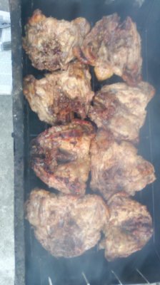 IMG_20200511_185304[1].jpg