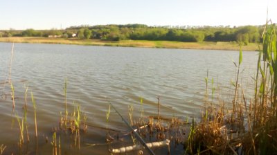 IMG_20200513_172259[1].jpg