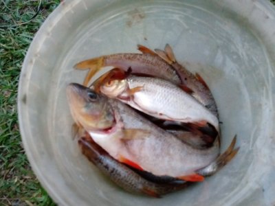 IMG_20200510_203641.jpg