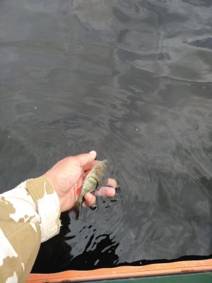 IMG_20200521_152157.jpg