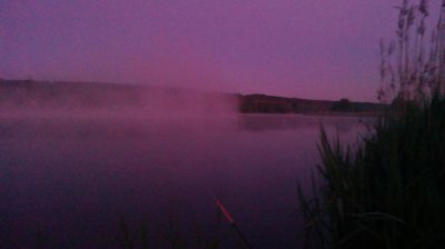 IMG_20200522_042817[1].jpg