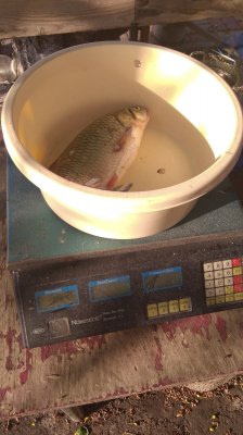 IMG_20200528_183320.jpg