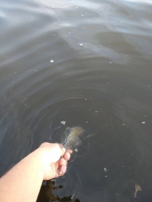 IMG_20200612_071148.jpg