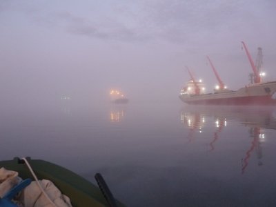 P1160944.JPG