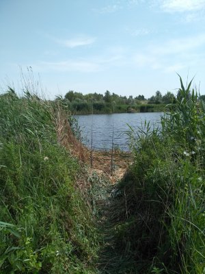 IMG_20200621_103131.jpg