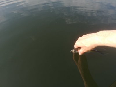 105395871_283735869704587_6979110454668496242_n.jpg