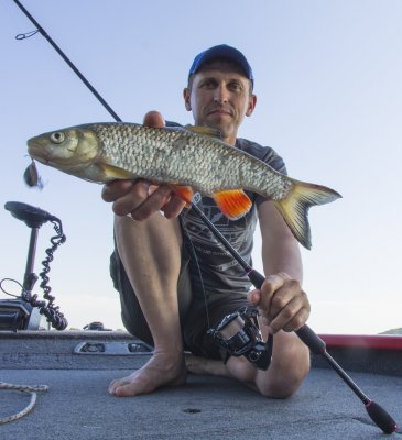 FAVORITE Professional + SHIMANO Vanquish.JPG