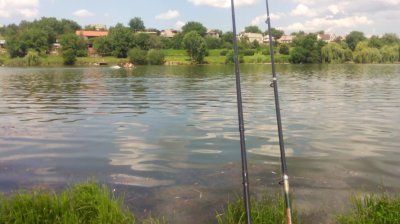 IMG_20200627_143852[1].jpg