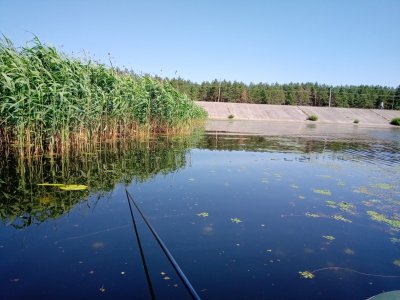IMG_20200627_112246.jpg