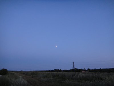 2-07-20-3.JPG