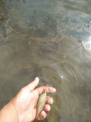 IMG_20200708_095008.jpg