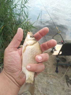 IMG_20200708_100901.jpg