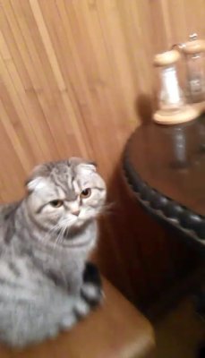 VID_20180213_231200_converted.mp4_snapshot_01.36.jpg