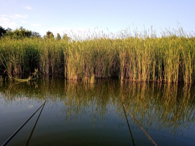 IMG_20200711_201446.jpg