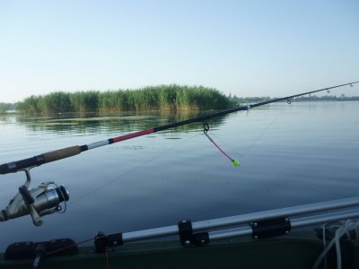 P1170589.JPG