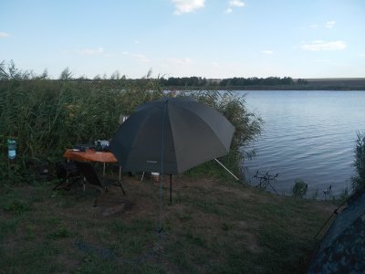 IMG_20200808_172526.jpg