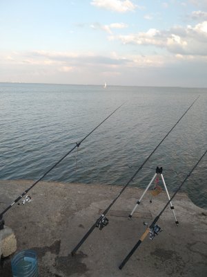 IMG_20200812_190506.jpg