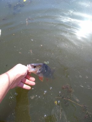 IMG_20200823_152410.jpg