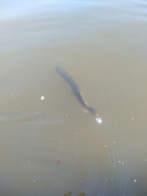 IMG_20200823_163359.jpg