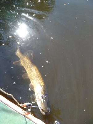 IMG_20200823_104738.jpg