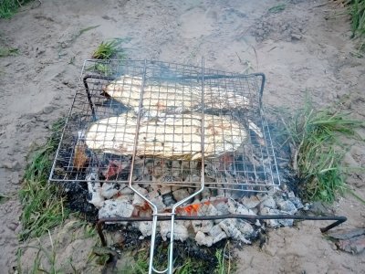 IMG_20190525_201954.jpg