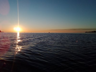 IMG_20200829_062003.jpg