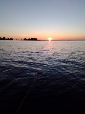IMG_20200829_060650.jpg