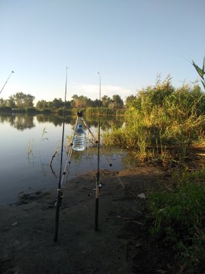 IMG_20200830_064629.jpg