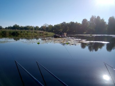 IMG_20200829_084239.jpg
