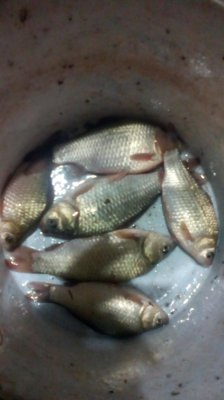 IMG_20200904_202812[1].jpg