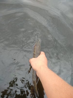 IMG_20200905_163118.jpg