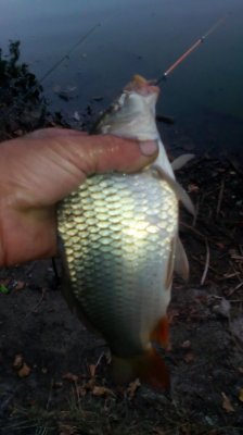 IMG_20200907_192052[1].jpg