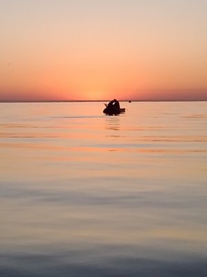 IMG_20200913_062428.jpg