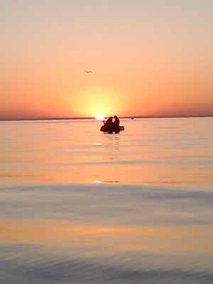 IMG_20200913_062630.jpg