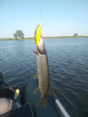 IMG_20200915_170818.jpg