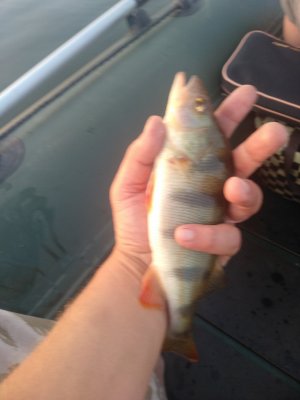 IMG_20200915_185117.jpg