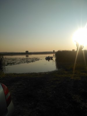 IMG_20200916_072413.jpg