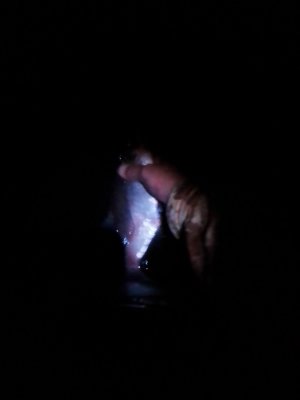 IMG_20200916_215257.jpg