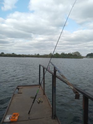 IMG_20200918_141110.jpg