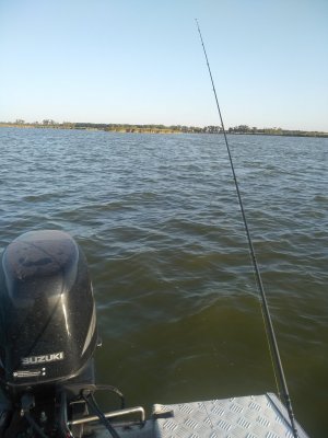 IMG_20200919_171711.jpg